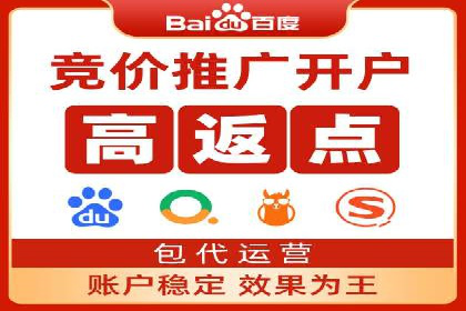 百度SEO推广：从零到一的成长案例